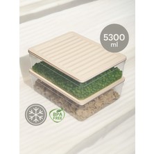 Empressco Nesto Home 2