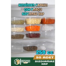 Empressco Astor Ambalaj 250CC Sızdırmaz Saklama Kabı, Buzdolabı, Dondurucu Düzenleyici Organizer Erzak Çerez Peynir Kabı - Fiyatı, Yorumları