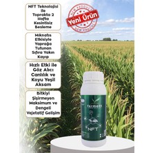 Ferment Tarım Ferment Nft Özel Azot Fiksasyon Teknolojili Sıvı Azot Gübresi - Yüksek Verimli Gelişim Düzenleyici 1 Lt