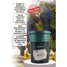 Ferment Tarım Ferment Cuatro Organik Yağ Asidi Kompleksli Sıvı Bakır - Yakıcı Olmayan Bitki Koruma & Besleme 15 Lt