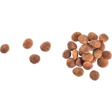 Brit Care Sensitive Healthy Digestion & Delicate Taste, Yetişkin Hassas Kediler Için, Tahılsız, Hipoalerjenik, Taze Hindi Etli ve Somonlu Kuru Mama, 2 kg