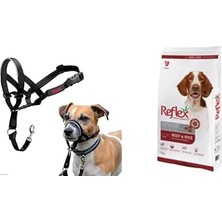 Of Animals Halti Ağızlıklı Tasma, Boyut 1 Siyah + Reflex Plus Adult Dog Energy 28/18 Beef, 15 kg