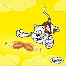 Dreamies Kuru Kedi Ödül Maması, Somonlu ve Peynirli, 60 G 2li Paket