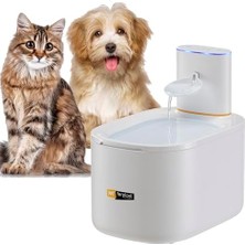 Astra Otomatik Kedi Su Şelalesi