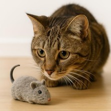Gri Kurmalı Kedi Oyuncağı – Hareketli Fare Şeklinde Peluş Oyuncak – Kediler Için Etkileşimli, Dayanıklı ve Av Içgüdüsünü Tetikleyen Eğlenceli Egzersiz Oyuncağı