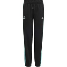 Mercedes - Amg Petronas Formula 1 Team Dna Pant