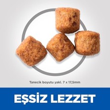 Hill's Scıence Plan Light Yetişkin Büyük Irk Tavuklu Köpek Maması 14 kg