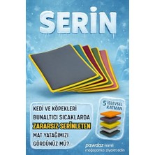 Pawdaz Matatabi - Stick Diş Temizlemeye ve Gidermeye Yardımcı Doğal Oyuncak