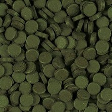 Süper Spirulina Tablet Yem 100 Adet