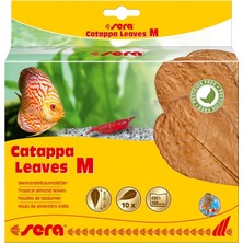 Sera Catappa Yaprağı M 18 cm (10 Adet)