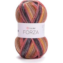 El Örgü Ipi Forza, 2611, 5X100 gr