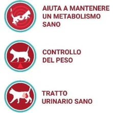 Purina One Sterilcat Somonlu 800 gr