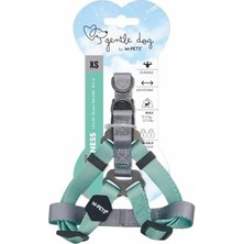 Gentle Dog Triangle Göğüs Tasması Green (Xs)