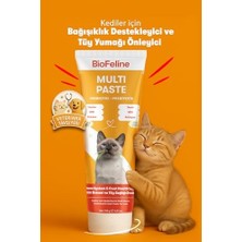 Biofeline Multivitamin Macun 100G