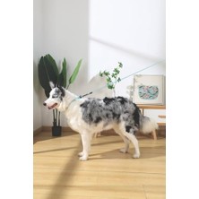 Gentle Dog Gezdirme Kayışı (S) Green (2 Paketi)