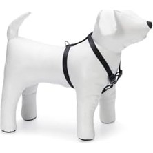 Basic Köpek Göğüs Tasması, S, 35-50 Cm, Siyah