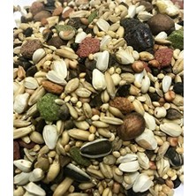 Trendy Pazars Versele Laga Loro Parque Avusturalya Papağan 1 kg Yüksek Besin Değeri İçeren Dengeli Beslenme