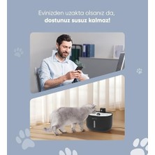Şımart Akıllı Evcil Hayvan Sebili