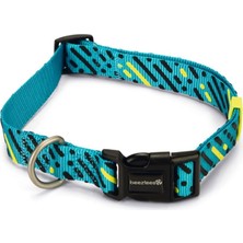 Köpek Tasması, Turkuaz, 48-70CM, 25MM
