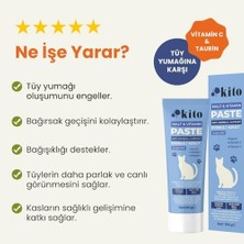 Kısır Veya Yetişkin Kediler Için Tüy Yumağı Önleyici ve Bağışıklık Sistemi Destekleyici Malt Macunu-Paste 100G