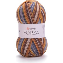 El Örgü Ipi Forza, 2504, 5X100 gr