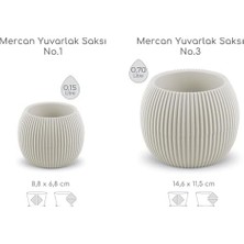 Yuvarlak Saksı Seti 0,15 Litre + 0,7 Litre, Iç Mekan - Dış Mekan 2li Ekonomik Tabaklı Plastik Saksı Set Renk
