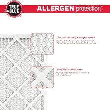 Blue Allergen Air Filtre, 4'lü Paket, 320361.4