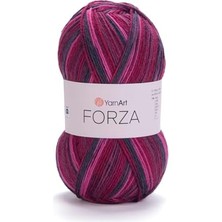 El Örgü Ipi Forza, 2508, 5X100 gr