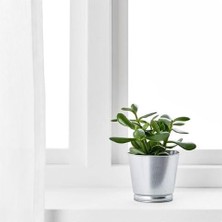 Galvanizli Gümüş Renk Saksı Bitki Çiçek Saksısı 9 cm Çelik