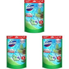 Domestos Tuvalet Bloğu Çam Ormanı 5'li Güç, 250 Gram (3 Paketi)