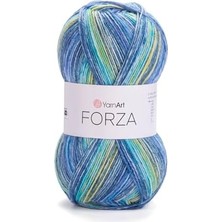 El Örgü Ipi Forza, 2603, 5X100 gr