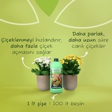 Prestige Çiçekli Bitkiler ve Sardunyalar Için Sıvı Bitki Besini Sıvı GÜBRE1000 ml