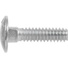 Kilit Vidası, 3/8 x 4-1/2 Inç, Çelik, Galvanizli, Gümüş, 50 Adet