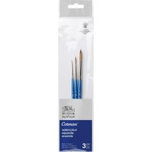 & Newton 5390607 Cotman Sulu Boya Sentetik Saç Seti, 3 Fırça, Mükemmel Zıplama Gücü, Renk Taşıma Gücü ve Nokta Hassasiyeti Ile, 3 Yuvarlak Fırça No. 0, 4, 8