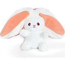 Ayıcık Buketi,sevgi Buketi,pelüş Buket,pelüş Çiçek,pelüş Tavşan,pelüş Ayı,gül Buketi,doldurulabilir Buket (Havuçtavşan)