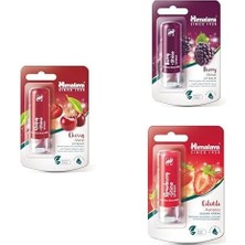 Himalaya Parlatıcı Dudak Bakım Kremi 4,5 gr 3'lü Set| Böğürtlen, Çilek, Kiraz | Silikon, Petrol Içermez
