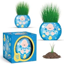 Bebek Temalı Çim Adam 6'lı Set – Çocuklar Için Eğitici ve Eğlenceli Bitki Yetiştirme Kiti