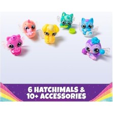 Egg Col Rs Hatchery Gml