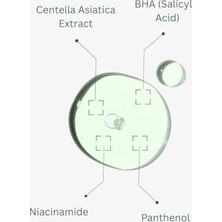 Neoskın Centella & Bha Içerikli Siyah Nokta Karşıtı, Gözenek Sıkılaştırıcı Günlük Bakım Toniği