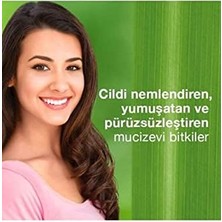 Himalaya Since 1930 Kırışıklık Karşıtı Yüz Kremi Aha E Vitamini Besleyici Hipoalerjenik Normal ve Kuru Ciltler 50 ml