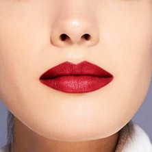 Shiseido Smk Visionairy Gel Lipstick 204