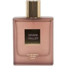 Erkek Odunsu 100 ml Parfüm, H4359AXNS