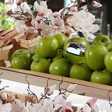 Dkny Be Delicious Edp Kadın Parfümü 100 ml