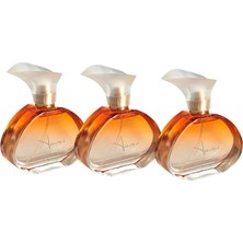 3'lü Set Alberto Taccini Aurora Kadın Parfümü -100 ml