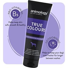 Animology Colors Renk Koruyucu Köpek Şampuanı 250 ml