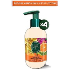 Bodrum Mandalinası El ve Vücut Losyonu 280 ml x 4