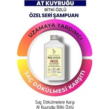 Revox At Kuyruğu Şampuanı, 400 ml (3 Paketi)