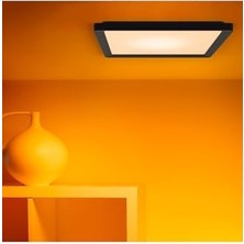 Wiz Akıllı Tavan Lambası – Ince Kare Tasarım, Birden Fazla Boyut, Ses/uygulama Kontrolü, Zaman Planlama,, Amazon Alexa ve Homekit ile Çalışır, Iç Aydınlatma, Siyah/beyaz