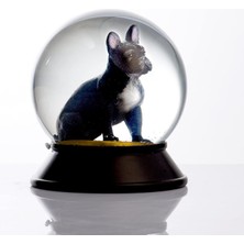 Cam ve Reçine Altın Patiler Köpek French Bulldog (Siyah) Kar Küresi Hediye