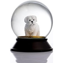 Cam ve Reçine Altın Patiler Köpek Maltese Terrier Kar Küresi Hediye